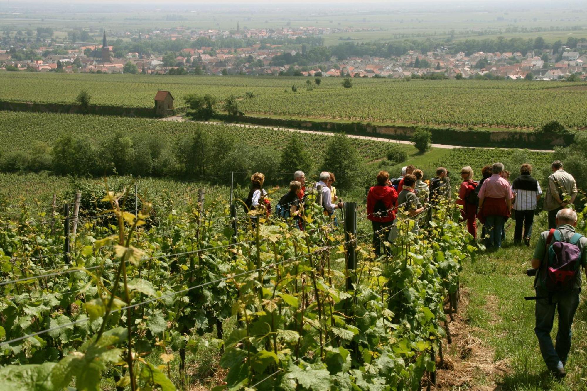 Hotel Goldbaechel Wachenheim an der Weinstraße Zewnętrze zdjęcie